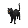 latex black cat